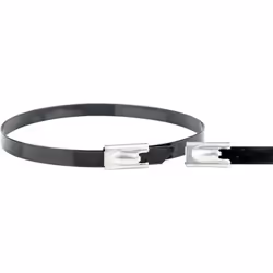 fabricant et numéro du fabricant WKKART006155 données techniques Contenu: 1 pc(s) Largeur de l'attache-câbles: 4.60 mm Longue ...