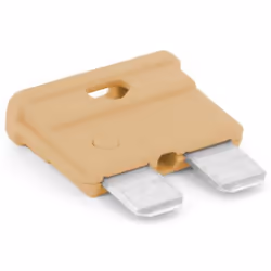 Conrad 8551180, 1 pièce(s), 5 mm, 19 mm, 19,7 mm