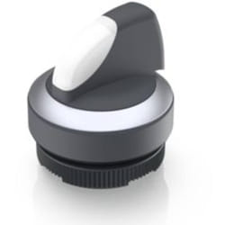 Rafi - 1.30.272.302/2200 x 22 fs+ Bouton-poussoir lumineux à rappel 2 x 60 ° 1 pc(s)