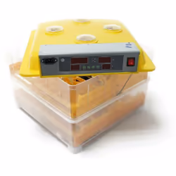 Une couveuse idéale pour les grandes séries. Grâce à une commande électronique, un réglage très précis de la température pres ...