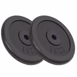 Plaque de poids 2 pieces 2 x 15 kg fonte halteres fitness musculation