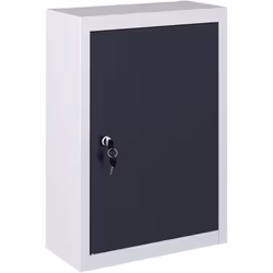 Cette armoire à outils murale sera idéale pour ranger vos outils, mais peut également constituer un ajout décoratif unique à ...