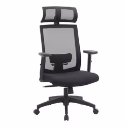 Fauteuil de bureau - Non spécifié - Ergonomique - Pivotant 360° - Support lombaire réglable - Noir