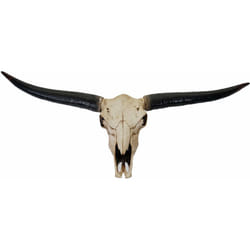 Décoshop26 - Crâne décoratif 132cm trophée tête de taureau longhorn en polyrésine intérieur/extérieur couleur naturelle 040002845