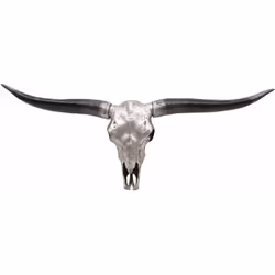 Crâne décoratif trophée de tête de taureau longhorn en polyrésine, intérieur/extérieur argenté Vous cherchez une décoration s ...