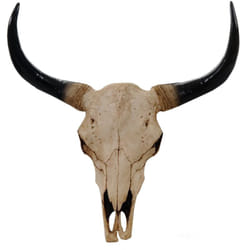 Tête de taureau décoration murale 45cm trophée longhorn en polyrésine intérieur/extérieur naturel 040002848