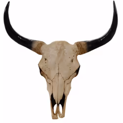 Tête de mort décorative 64cm trophée tête de taureau longhorn polyrésine intérieur/extérieur naturel Ce trophée de chasse est ...