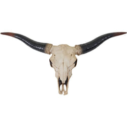 Décoshop26 - Tête de taureau décoration murale 75cm trophée longhorn en polyrésine intérieur/extérieur naturel 040002852