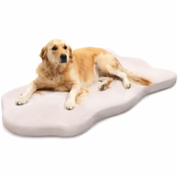 Caractéristiques : Le grand lit pour chien offre suffisamment d'espace de repos pour les chiens de grande et moyenne taille L ...
