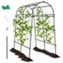 Arche de jardin - Non spécifié - 230 cm - Métal anti-rouille - Treillis pour plantes grimpantes - Noir