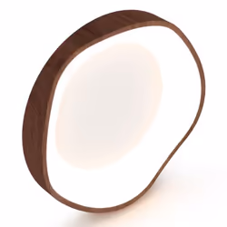 Plafonnier LED - Moderne - 24W - Éclairage 3000K - Motif bois - Cadre métal