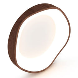 Plafonnier LED - Moderne - 24W - Éclairage 3000K - Motif bois - Cadre métal