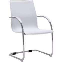 Cette chaise de bureau cantilever, au design contemporain, est une pièce unique, ajoutant un peu de confort à votre journée d ...