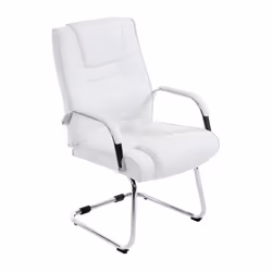 Cette chaise visiteur donne à n'importe quelle pièce un aspect exclusif et séduit non seulement par d'excellentes caractérist ...