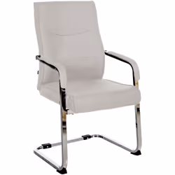 La chaise visiteur allie un design élégant à des propriétés fonctionnelles et offre un grand confort d'assise. Le fauteuil s' ...