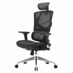 Fauteuil de bureau - Chic - Ergonomique - Support lombaire - Dossier haut - Accoudoirs réglables