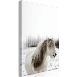 Décoshop26 - Tableau toile de décoration murale impression premium en 1 partie sur châssis en bois motif Crinière de cheval 20x30 cm 110014986