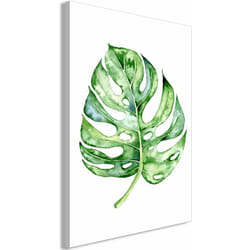 Tableau toile de décoration murale impression premium en 1 partie sur châssis en bois motif Monstera Aquarelle 60x90 cm 110015975