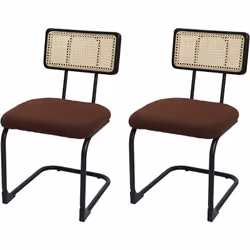 Lot de 2 chaises en bois rotin métal tissu/textile marron bouclé Cadre en acier stable, revêtement par poudre Antidérapant gr ...