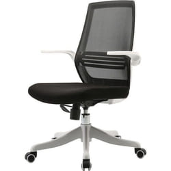 Chaise de bureau ergonomique - Noir - Accoudoirs pliables - Mécanisme de bascule - Dossier réglable