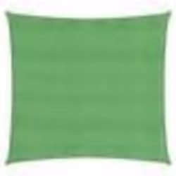 Voile dombrage - PEHD - 4 x 4 m - Vert clair - 160 g/m² - Résistant aux UV