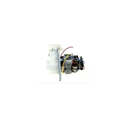 Moteur et charbon pour Robot multifonction Kenwood KW714310