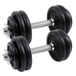 Lot de 2 halteres courts en fonte 30 kg sport fitness musculation