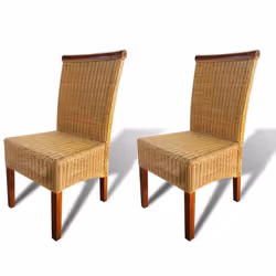 Chaises de salle à manger - Design moderne - Lot de 2 - Rotin naturel - Marron - Intérieur