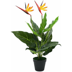 Décoshop26 - Plante artificielle strelitzia reginae oiseau de paradis 66 cm DEC021942