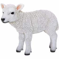 Offrez à cet agneau réaliste une belle maison ! Cette statuette d'agneau debout de la marque Esschert Design apportera sûreme ...