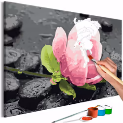 Peinture par numéros motif Fleur rose et pierres 60x40 cm Le tableau à peindre par soi-même est une excellente idée cadeau po ...