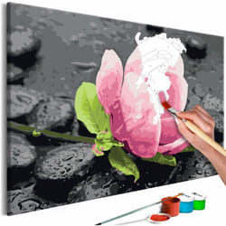 Tableau à peindre soi-même peinture par numéros motif Fleur rose et pierres 60x40 cm TPN110131