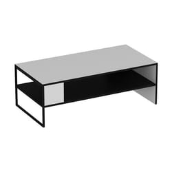 Table basse rectangulaire avec espace de rangement 42 x 120 x 60 cm noir / blanc