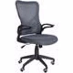 Chaise de bureau ergonomique - Design moderne - Dossier en maille - Hauteur réglable - Couleur gris