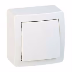 Bouton-poussoir ALRÉA 10A en saillie à fermeture - SCHNEIDER ELECTRIC - SHN0262053P