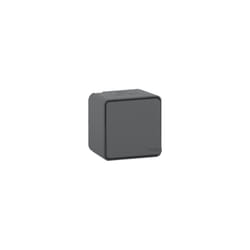 Schneider Electric - MUR35021 - Mureva Styl - Va et vient - saillie - IP55 - IK08 - connexion auto - gris