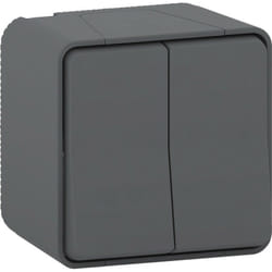 Schneider Electric - Double interrupteur va et vient anthracite en saillie étanche - Mureva - Schneider