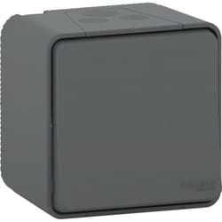 Schneider Electric - Bouton poussoir anthracite en saillie étanche - Mureva - Schneider