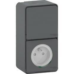 Schneider Electric - Mixte prise de courant + interrupteur anthracite en saillie étanche - Mureva - Schneider