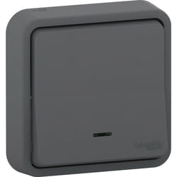 Bouton poussoir avec voyant anthracite encastré étanche - Mureva - Schneider