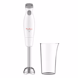 Moulinex Easychef, Mélangeur par immersion, 0,8 L, 450 W, Gris, Blanc