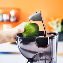 Moulinex Ultra Juice Centrifugeuse lente 200 W Gris - Vue supplémentaire 9
