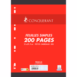 Conquerant 100100117, 200 feuilles, France, 40 pièce(s), 22,9 kg, 440 mm, 315 mm