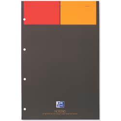 Oxford 100101876 bloc-notes A4 Gris