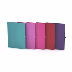 Oxford 100735217, Monochromatique, Rose, Violet, Fuchsia, Rouge, B5, Mat, 90 g/m², Universel