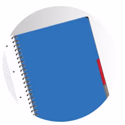 Oxford 400114569 bloc-notes A4+ 80 feuilles Couleurs assorties