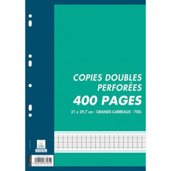 HAMELIN - Sachet de 100 copies doubles ( 400 pa...