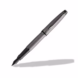 Waterman Expert Metallic Silver