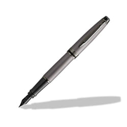 Waterman Expert Metallic Silver