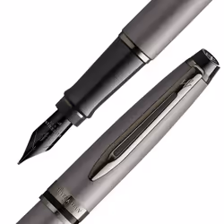 Waterman Expert Metallic Silver